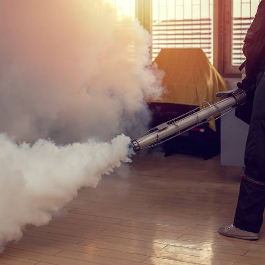 Fogging Service-img