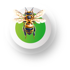 Wasps & Files