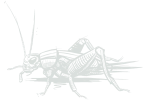 greenixpccom_609970119 2