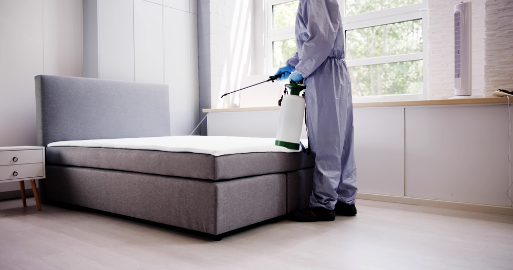 Pest,Control,Service.,Bug,Bed,Treatment,By,Exterminator